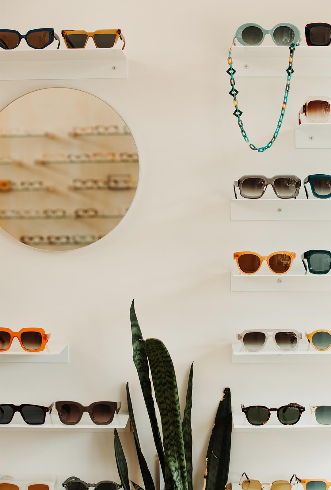 Rows of designer glasses lining the walls of Peep Optical, an optometrist in Yarraville.